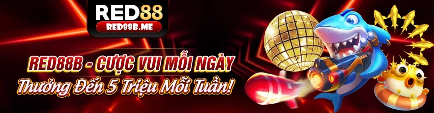 Giới thiệu mm88 apk - Nền tảng cá cược trực tuyến uy tín